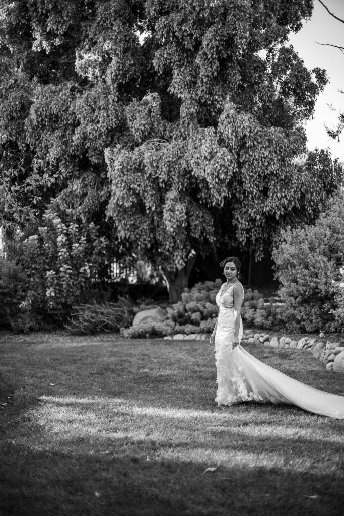 Black and white bridal portraits.