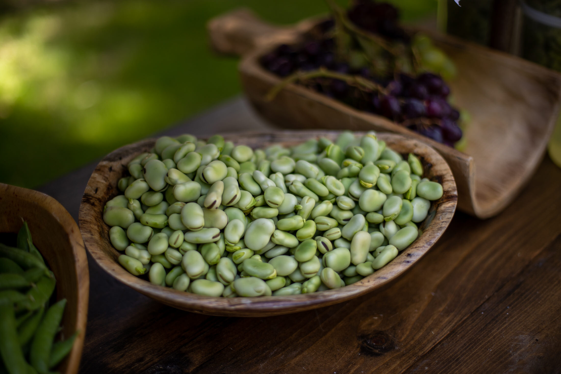 fresh fava beans