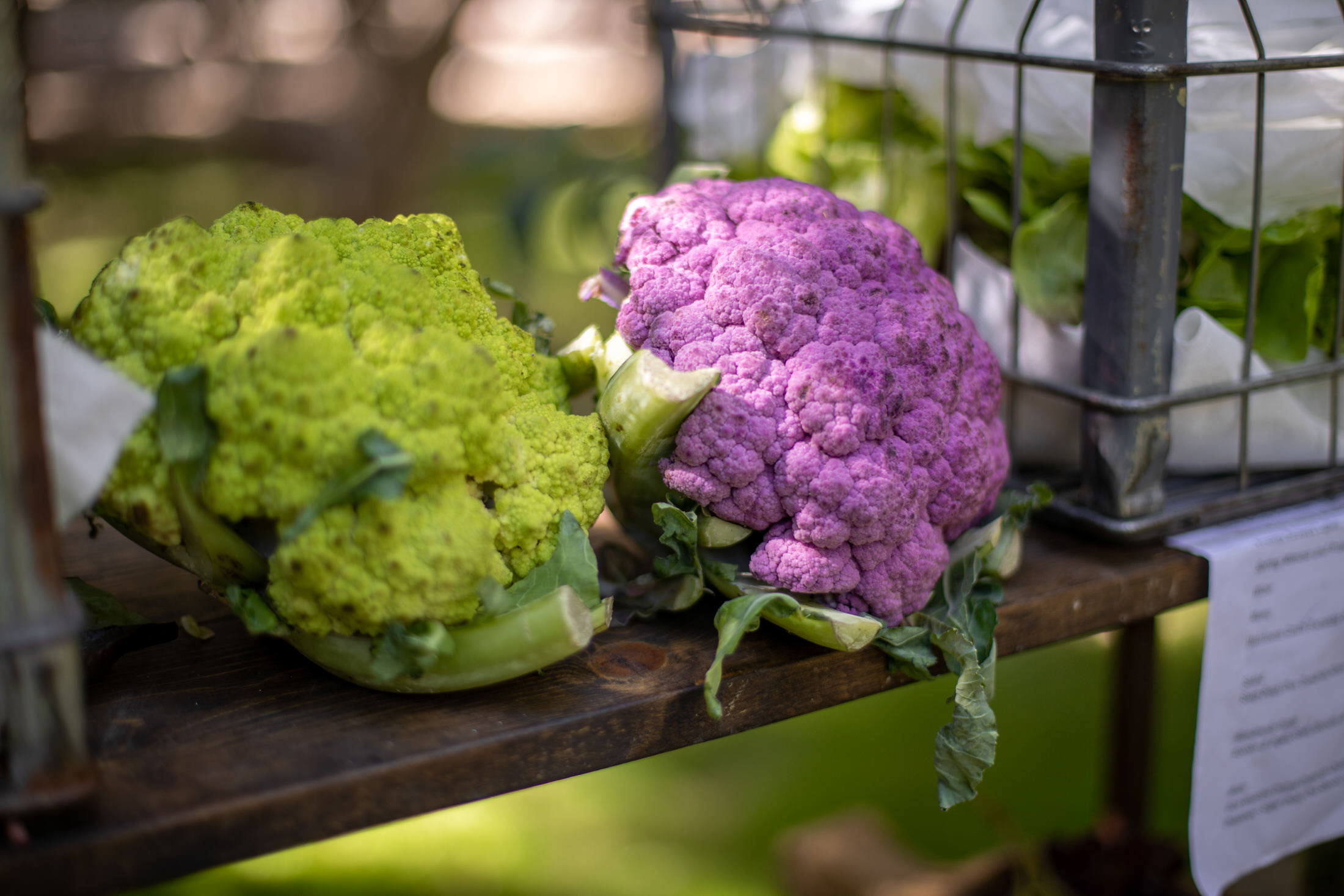 green and purple cauliflower