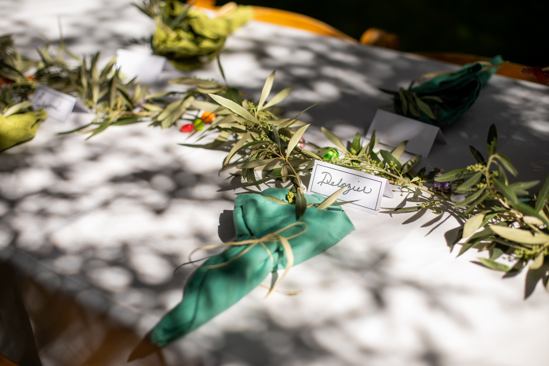 a long table covered in white table clothes and set with colorful napkins and olive tree branches in the middle of a olive orchard
