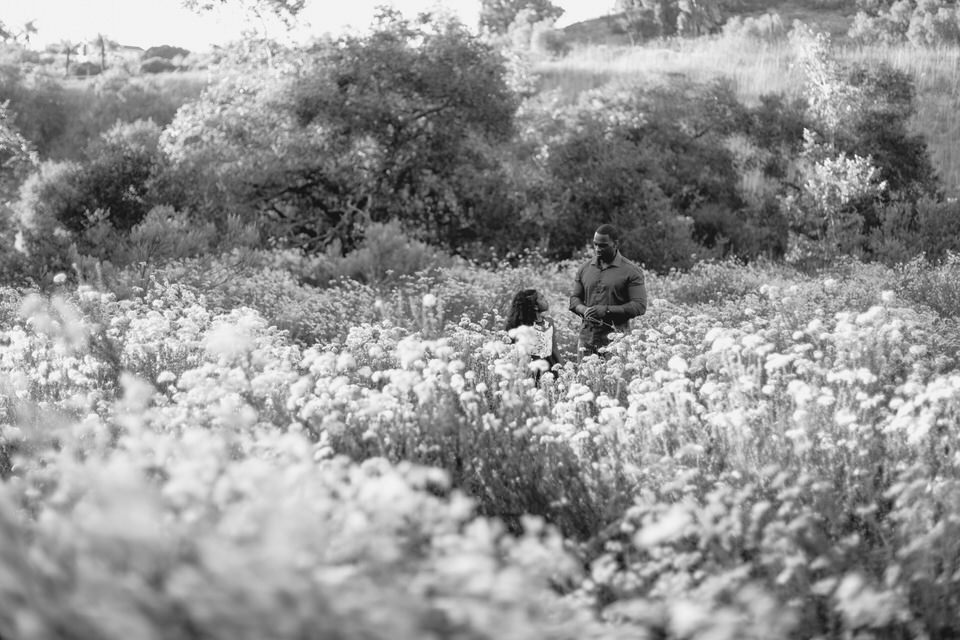A father and daughter walking through wild flowers.