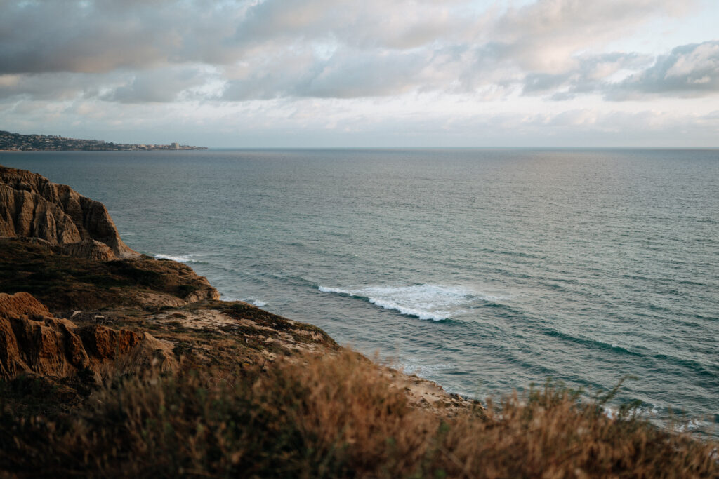 Torrey pines engagement 111