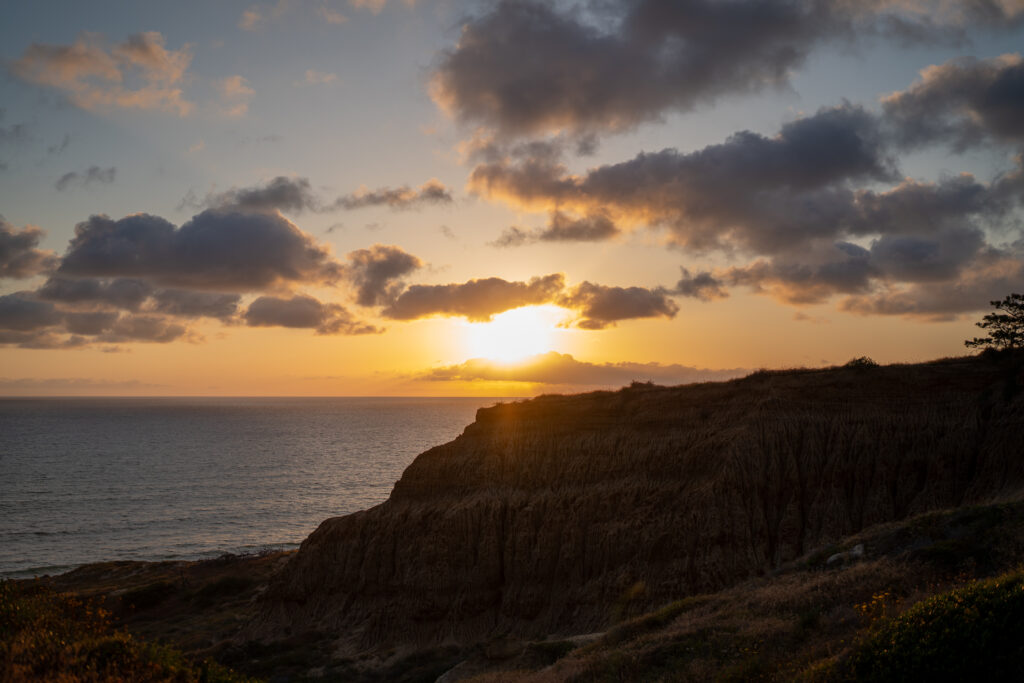 Torrey pines engagement 164