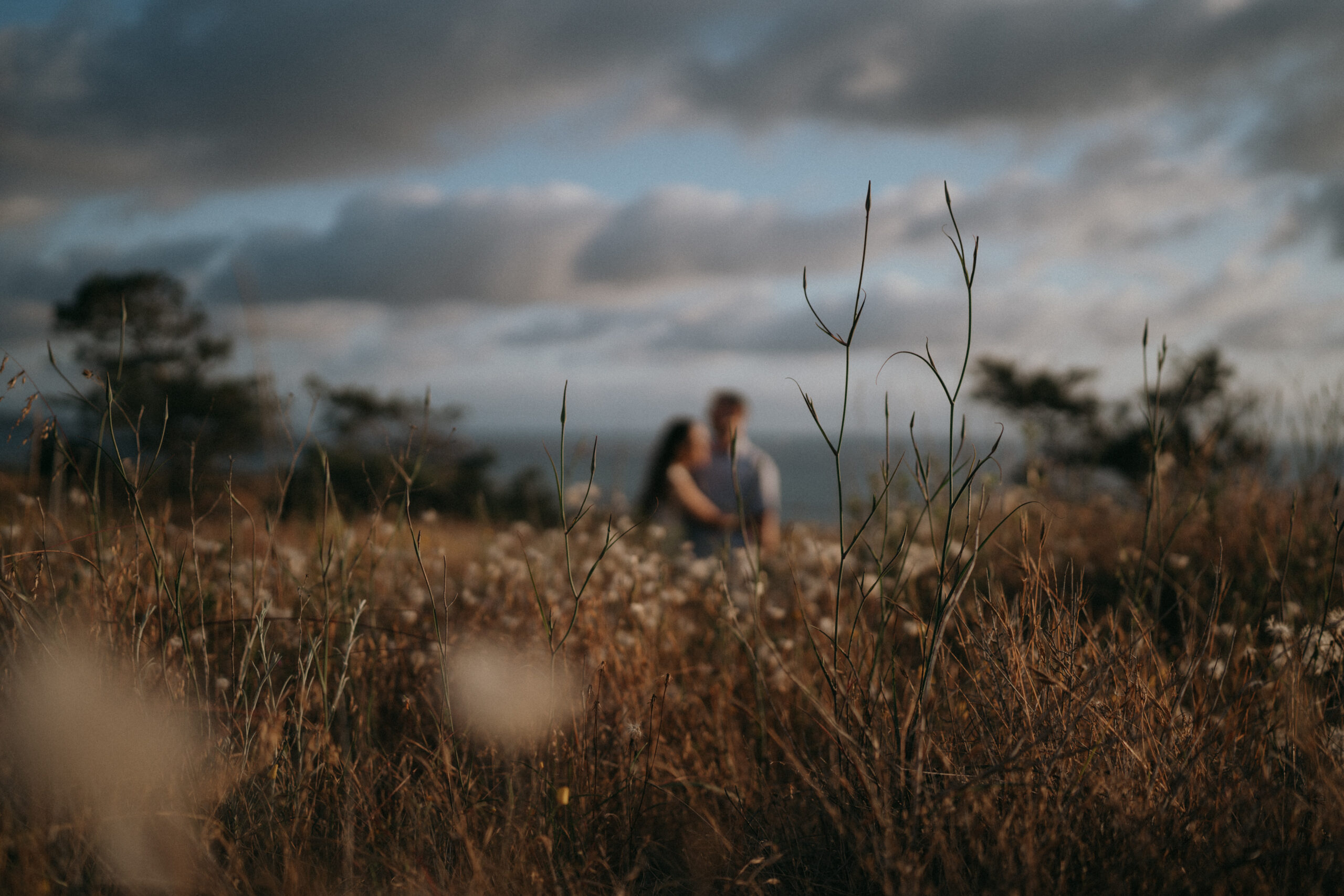 Torrey pines engagement 97