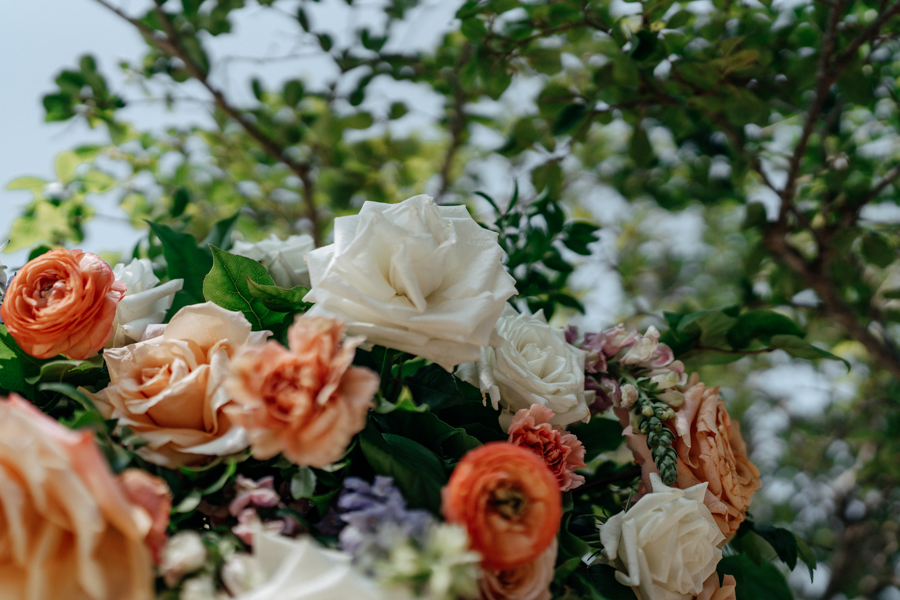 Seuss library wedding 84