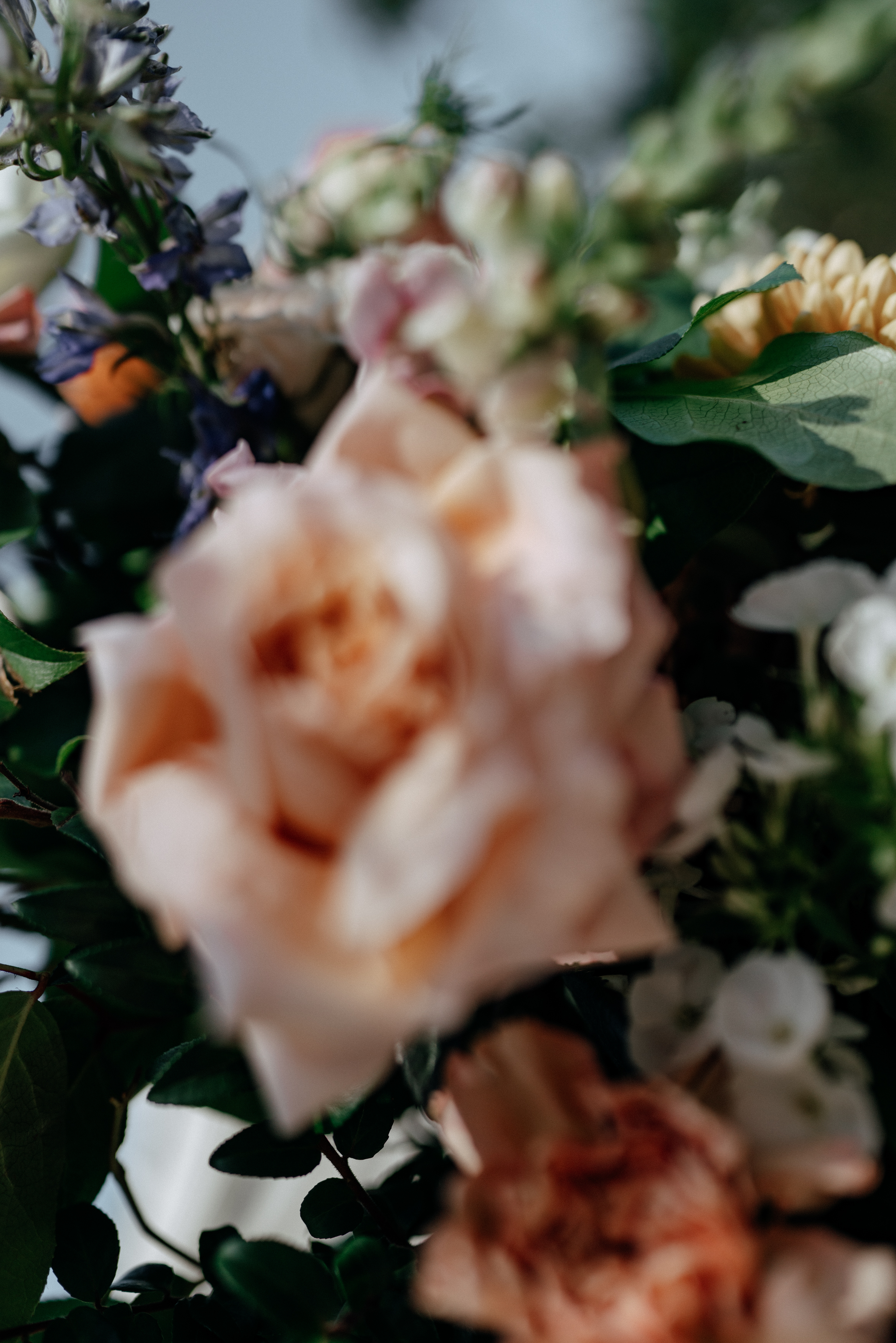 Seuss library wedding 90
