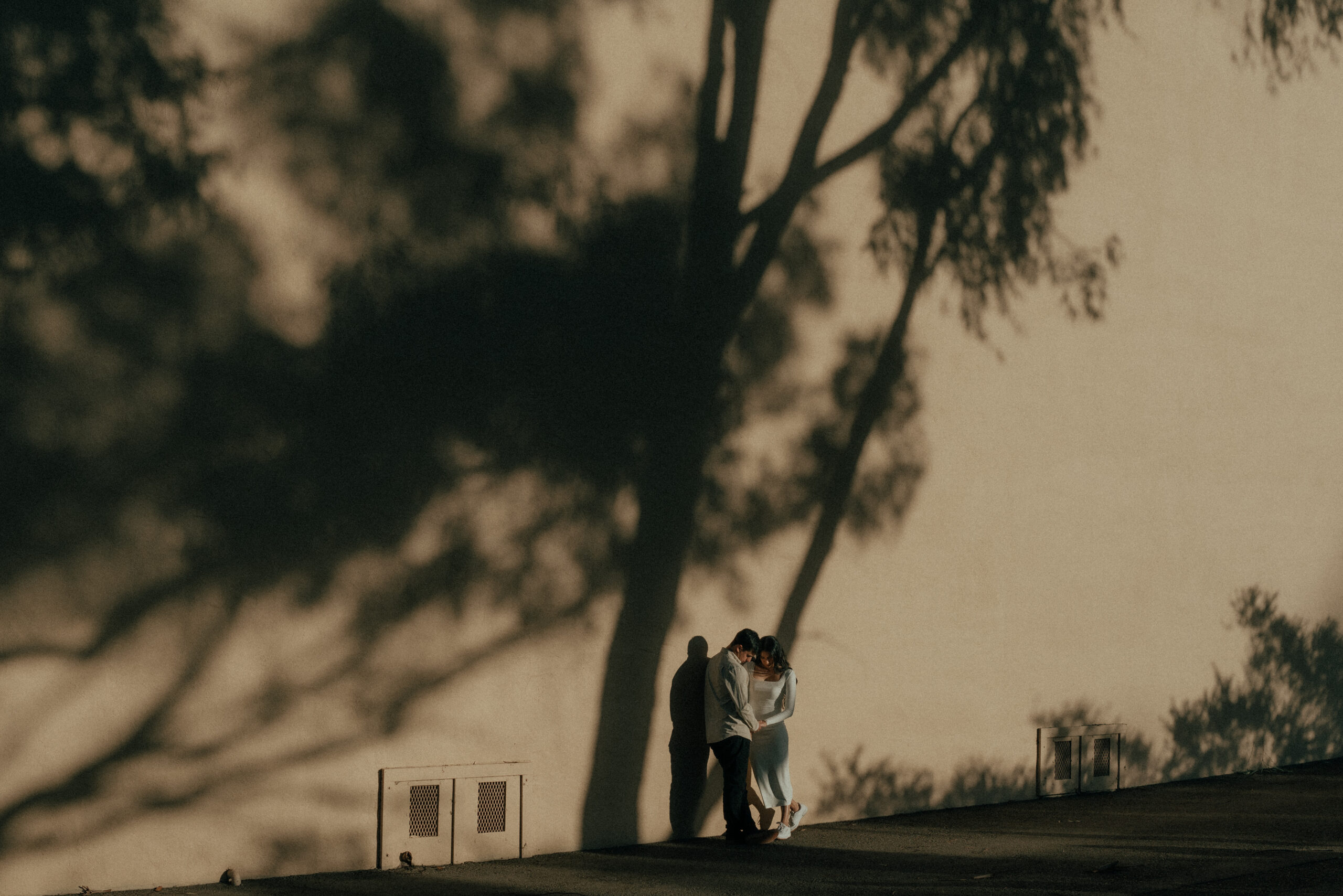 Balboa park engagement 24