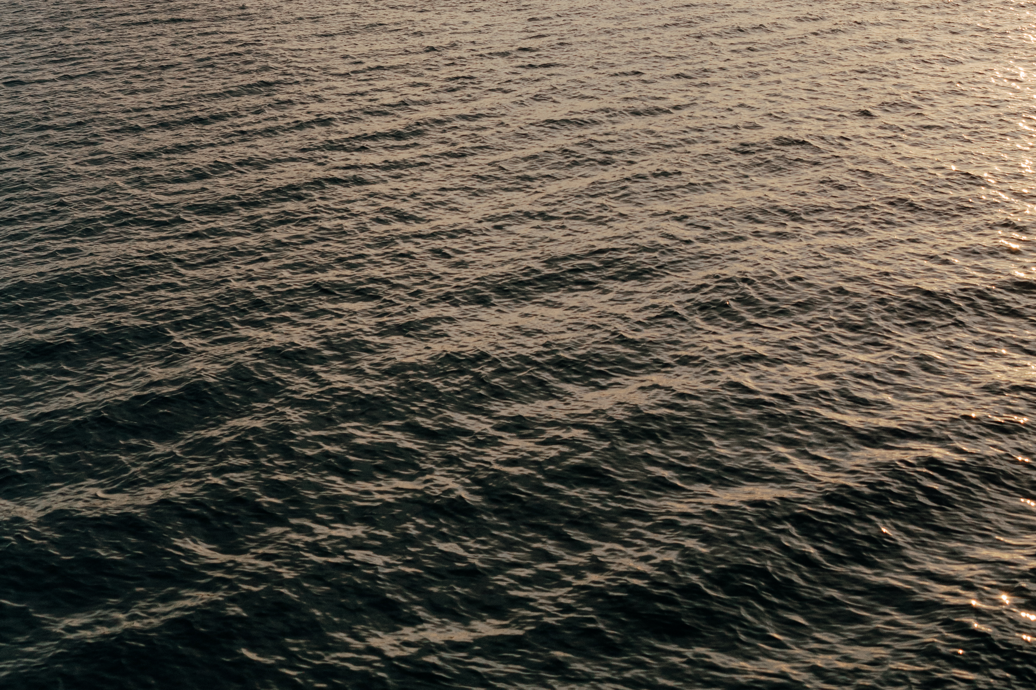 Sunset cliffs engagement 147