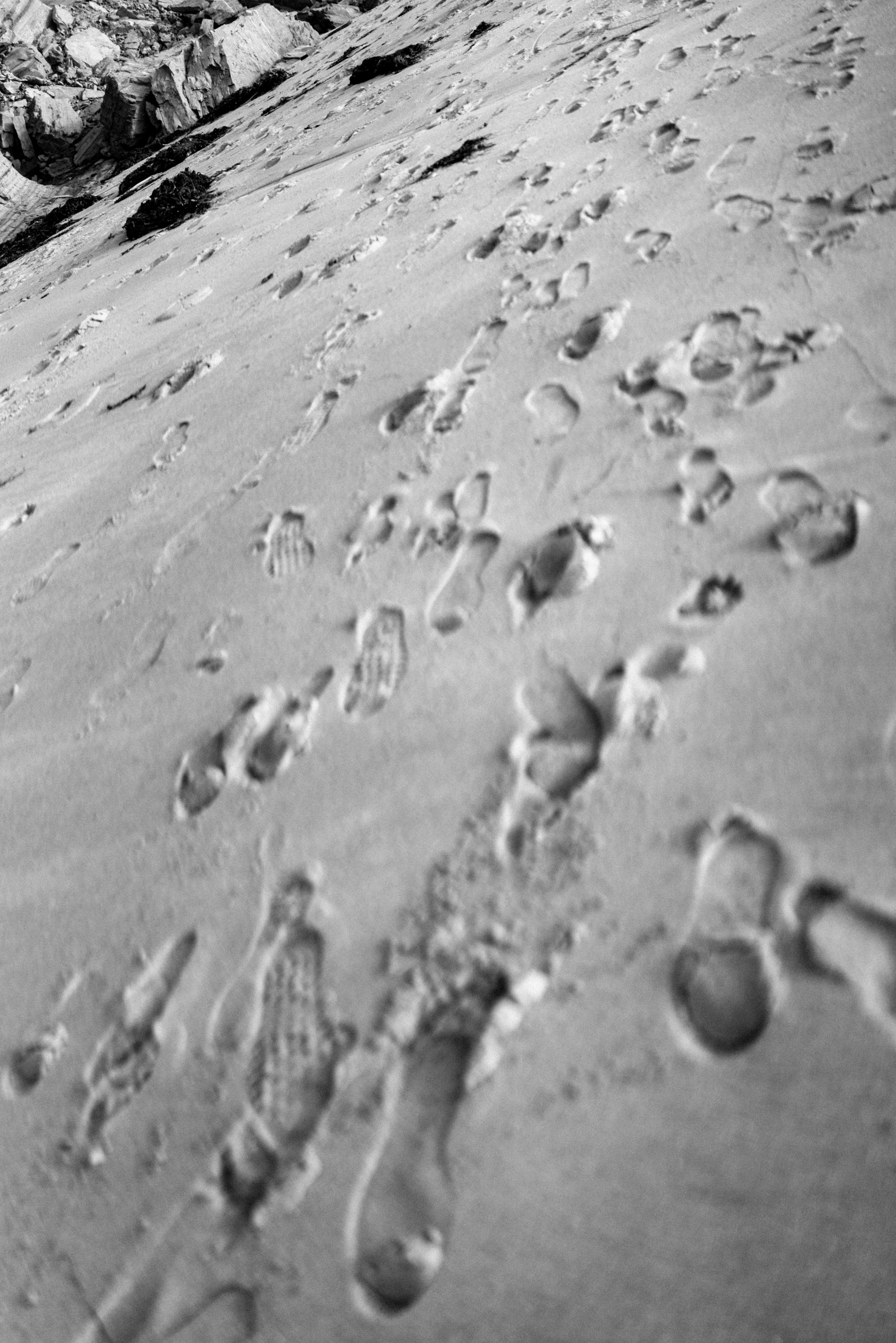 Sunset cliff enagament session 47