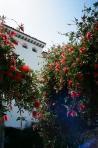 Santa barbara courthouse 17.jpg