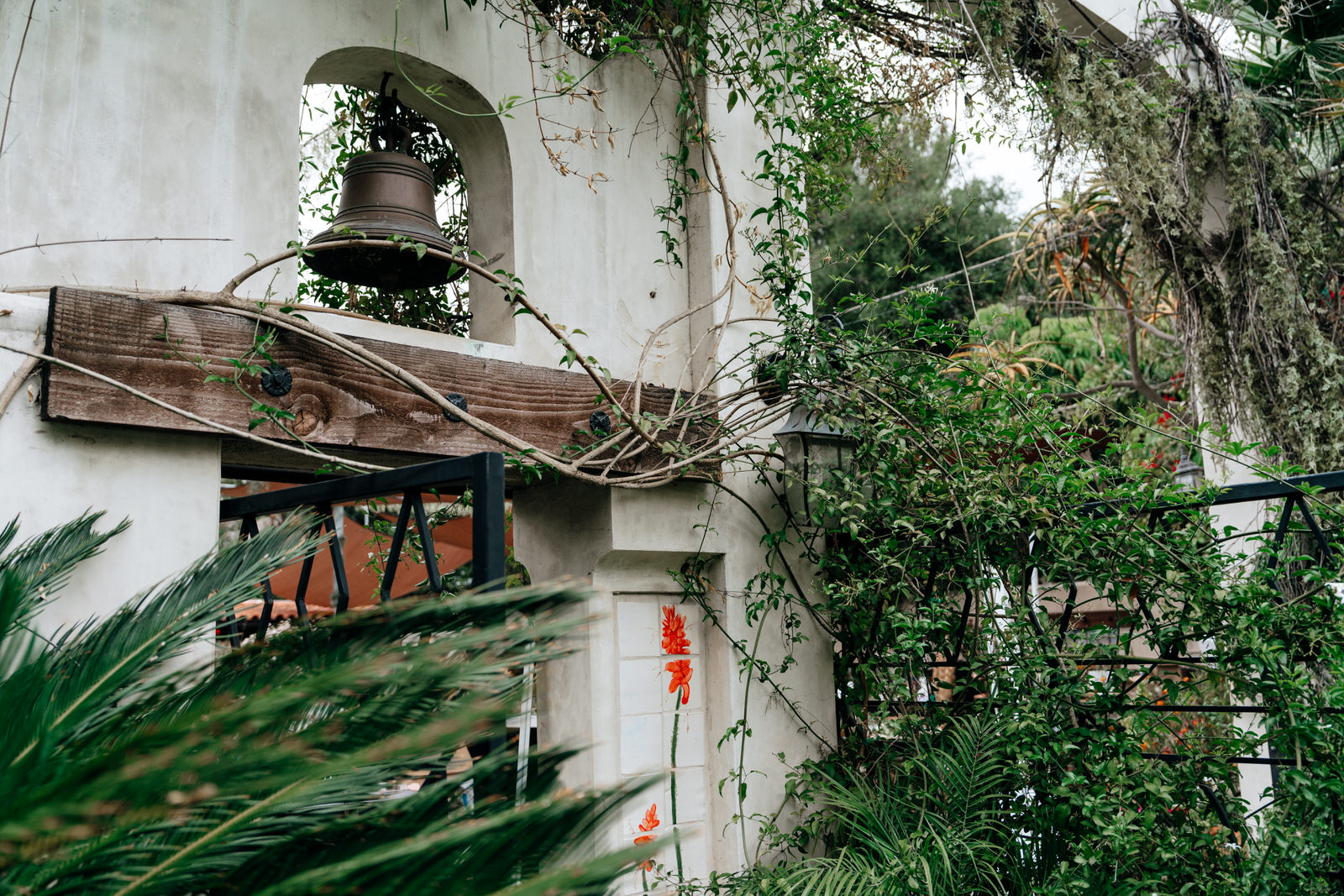 Tivoli san diego wedding venue