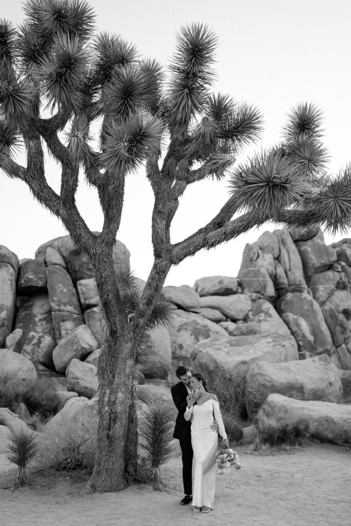 Film wedding photography joshua tree