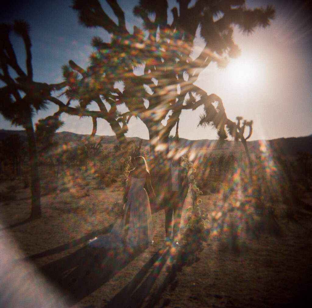 Film wedding photography joshua tree 8