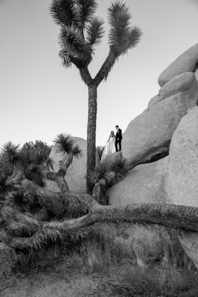Film wedding photography joshua tree 9