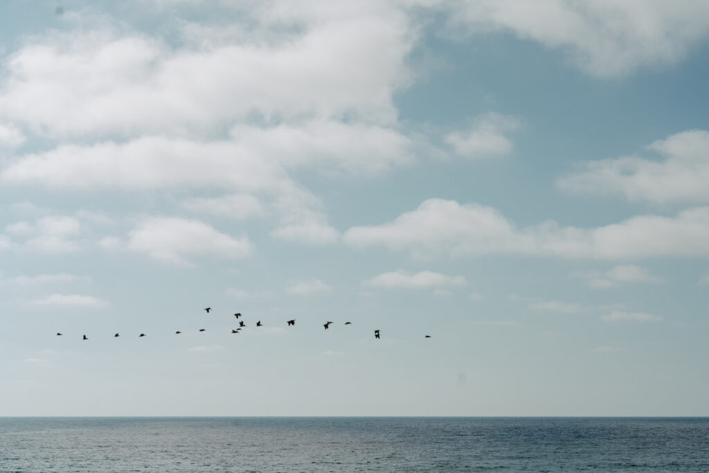 Scripps Seaside Forum Wedding 55