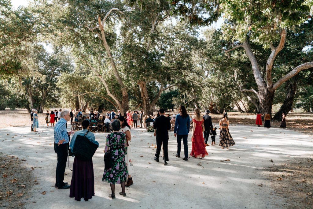 Wide shot of guests gathering under the Sycamore trees before the ceremony