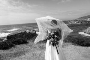 Carmel Hyatt Highlands WeddingAFP SDCC 2026