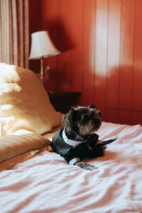 Madonna Inn Wedding